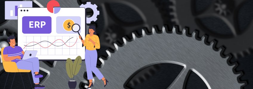 ERP mistakes, failing to customize