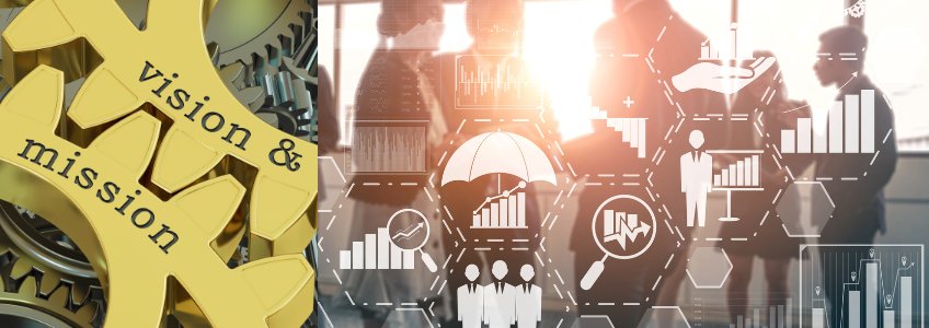 ERP mistakes, lack of vision and management